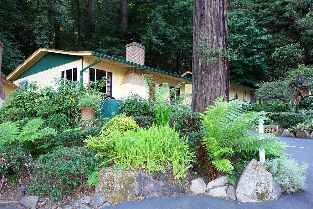 Fern Grove Cottages Guerneville Ngoại thất bức ảnh