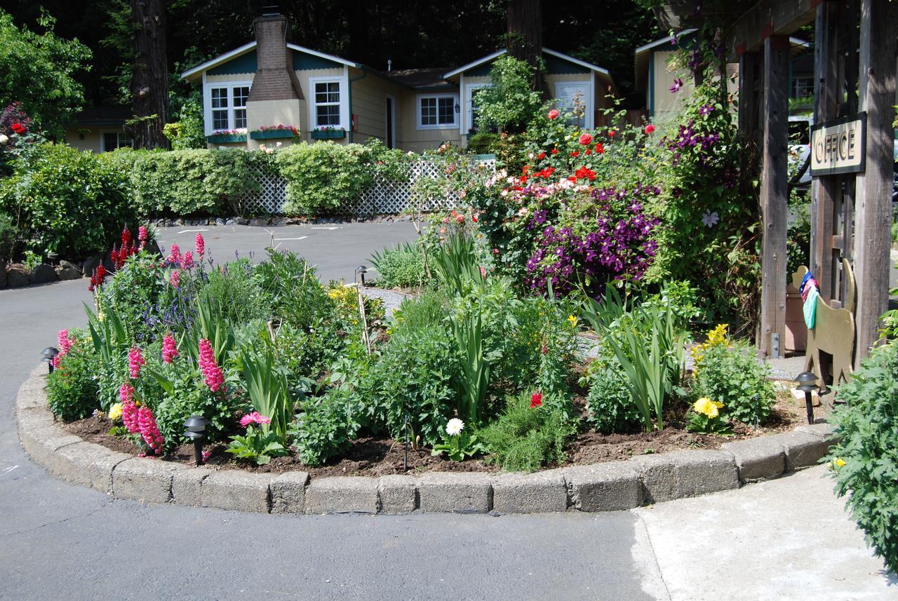Fern Grove Cottages Guerneville Ngoại thất bức ảnh