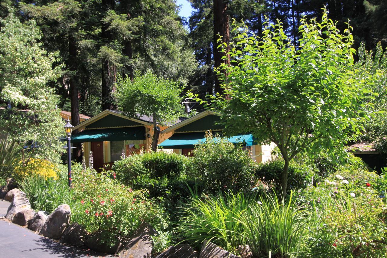 Fern Grove Cottages Guerneville Ngoại thất bức ảnh