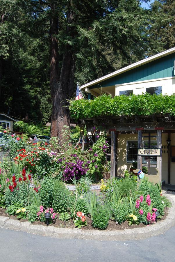 Fern Grove Cottages Guerneville Ngoại thất bức ảnh